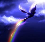phoenix rainbow phoenix rainbow
